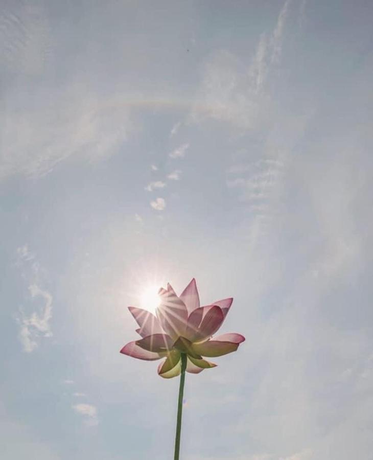Khach San Flower Sky Nha Trang Eksteriør billede